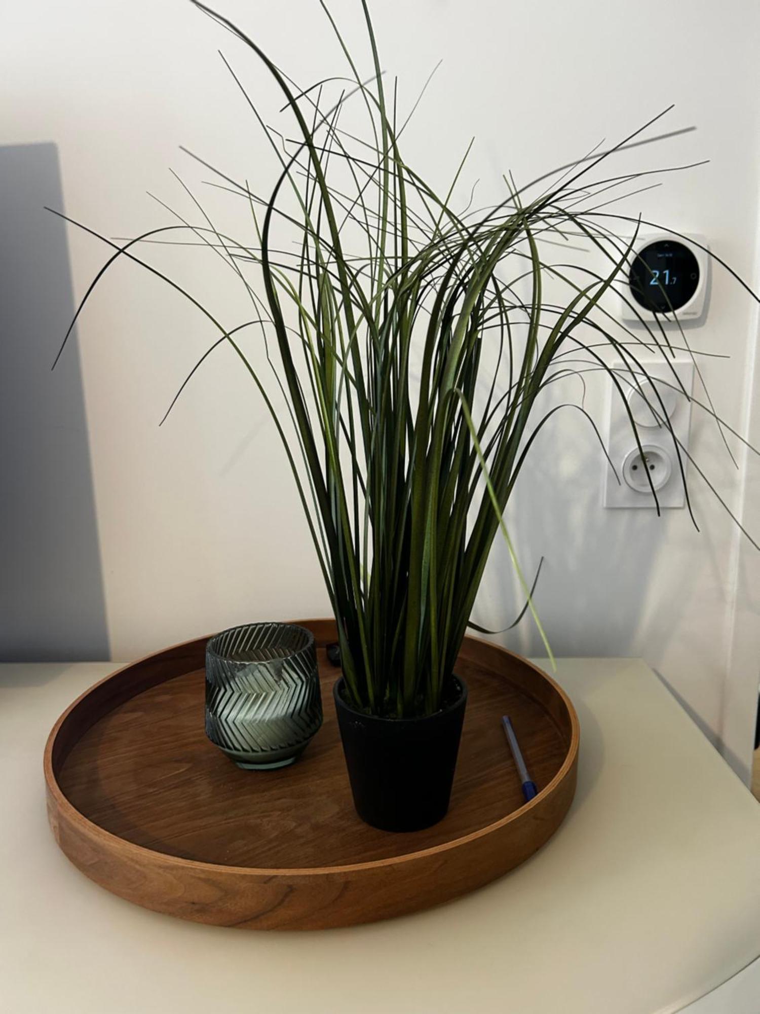 Le Cozy Home Melun Esterno foto